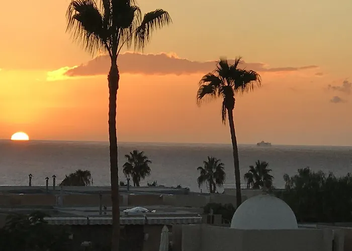 In Tenerife Playa de las Americas (Tenerife)